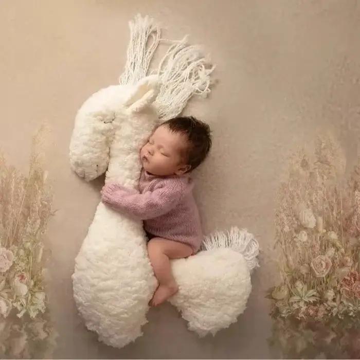 Oreiller de pose licorne pour photographie de nouveau-né, ensemble de coussin et couverture de cheval en peluche douce, accessoire de décoration d'arrière-plan de Studio Photo pour bébé