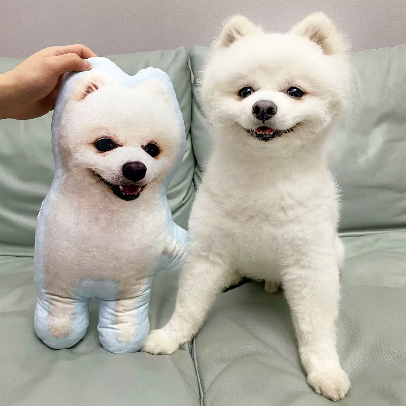 Coussin personnalisé pour animaux de compagnie avec photo DIY, oreiller en forme d'animal en peluche