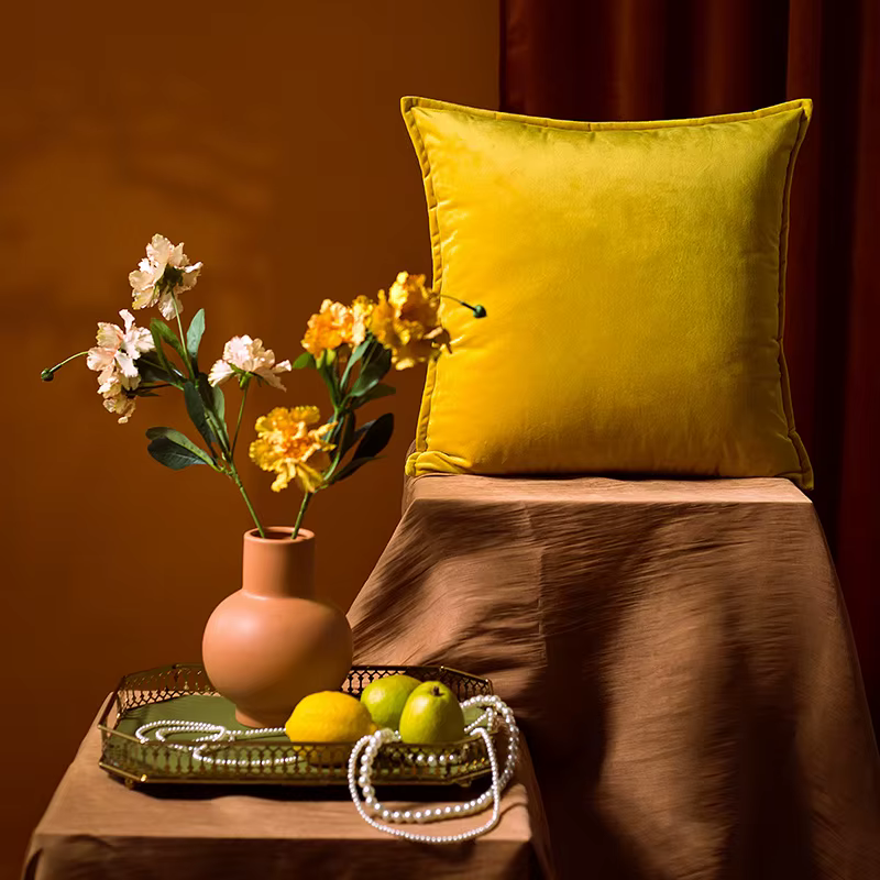 Juste de coussin en velours pour canapé et salon, taie d'oreiller décorative nordique, 30x50cm