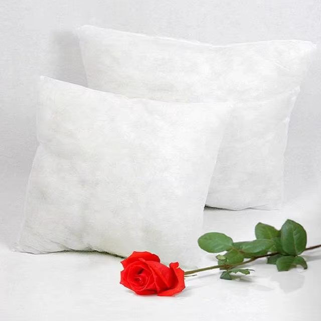 Coussin à Noyau Solide en Coton PP, 30x30/35x55/30x50/60x60 /40x40/45x45/40x60/65x65cm
