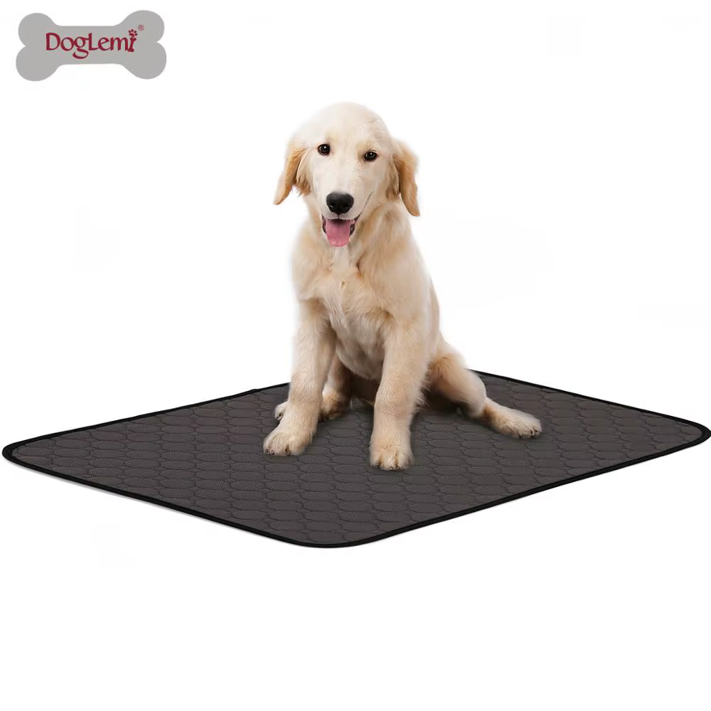 Tapis absorbant lavable pour chiens et chats, imperméable, réutilisable, pour l'apprentissage de la 