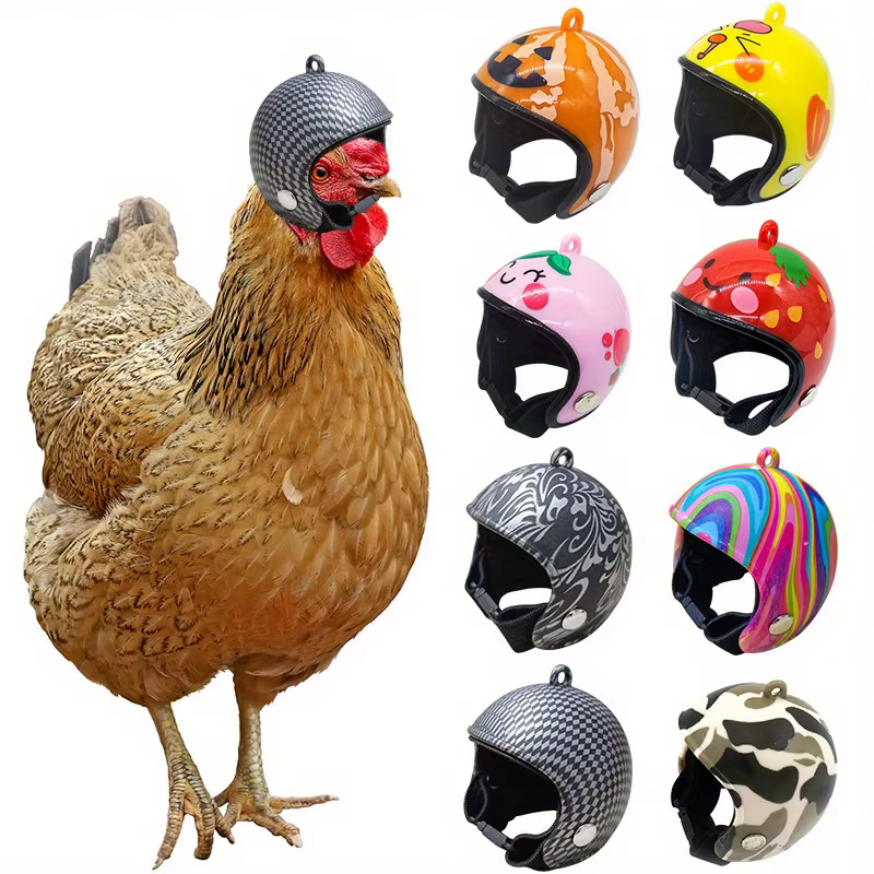 Casque de protection pour poulet, accessoires pour animaux de compagnie, chapeau amusant pour hamste