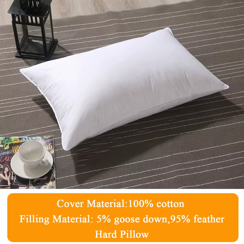 40x60 50x70 45x70cm 100% coton duvet d'oie oreiller dossier siège canapé chaise assise taille repose