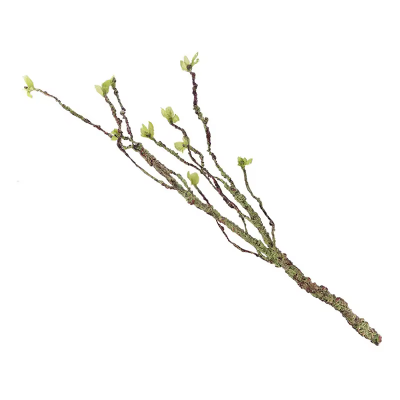 Vignes décor Branches d'escalade résine Aquarium Aquarium ornement Reptile artificiel Terrarium tort