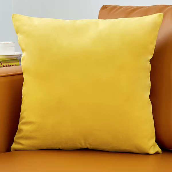 Housse de Coussin en Velours Décoratif Canapé Taie d'oreiller Super Doux Decoration Maison Salon Cha