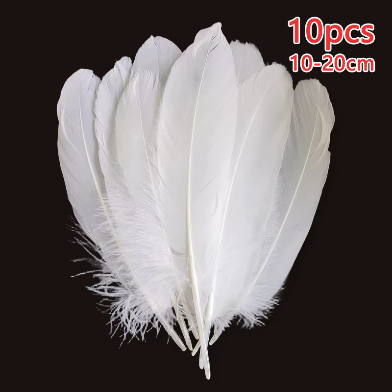 Lot de 10 plumes d'autruche en vrac pour décoration, artisanat, bijoux, salon, ballons, grand carnav