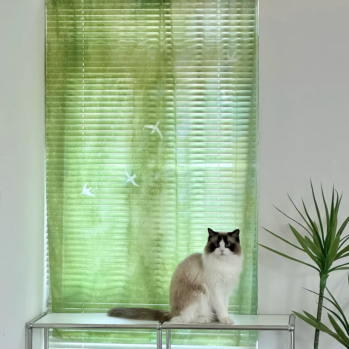 Rideau Flottant Translucide en Chiffon Vert Estival, Toile Murale Décorative pour Fond Photo, Cloiso