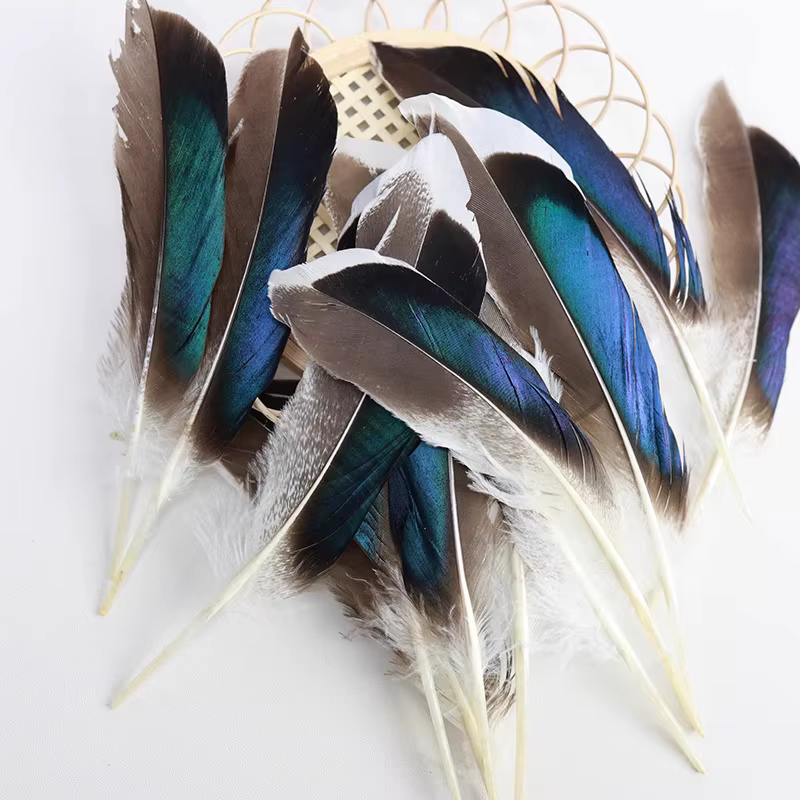 Plumes de canard naturelles pour l'artisanat, 50 pièces, couture, plumes d'oie, bijoux, attrape-rêve