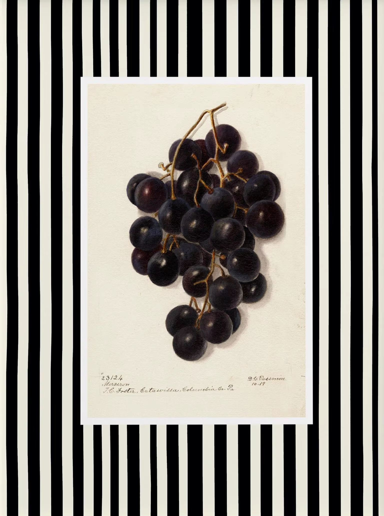 Affiches de Fruits de cuisine de ferme moderne, imprimés de fruits, Orange frais, raisin, pêche, pei