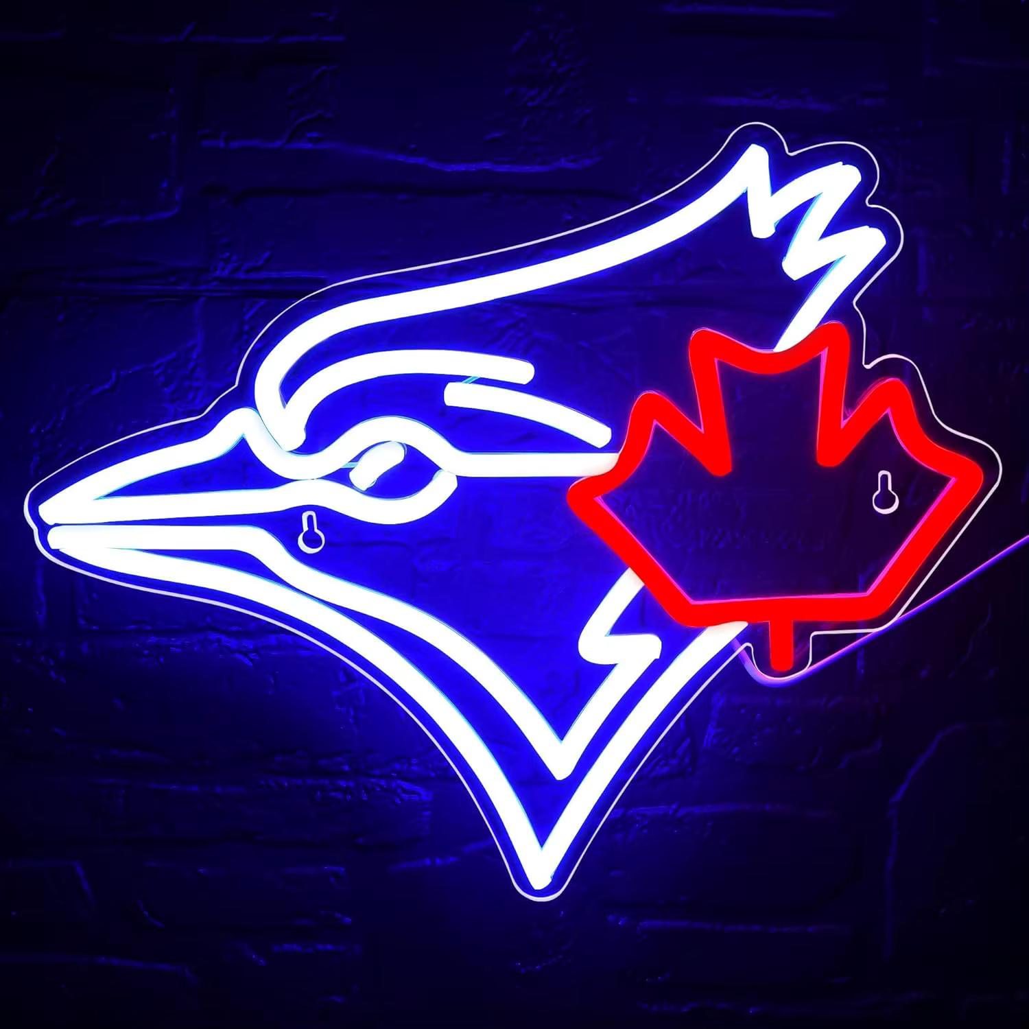 USB Dimmable Blue Jay avec feuille d'érable néon signe Vintage Nature thème lumière LED pour Pub cha