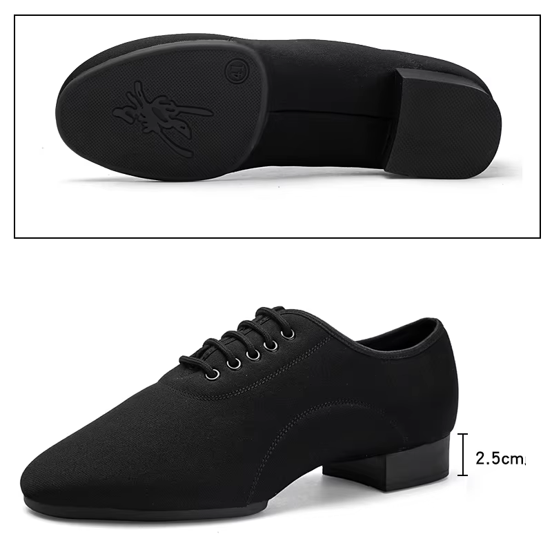 Chaussures de danse de salon pour hommes chaussures de danse latine à lacets Salsa Performance valse