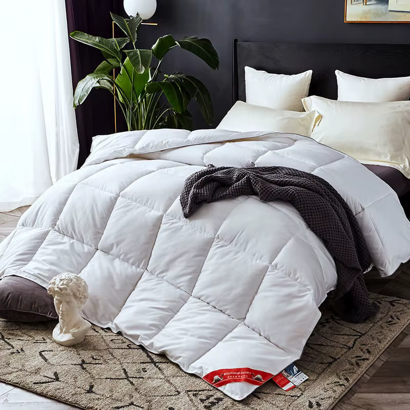 Couette en duvet de canard pour le printemps et l'automne, couverture en coton pour l'hiver, épaisse