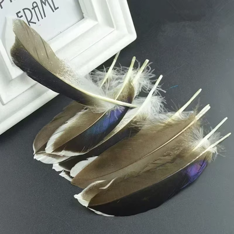 Plumes de canard naturelles pour l'artisanat, travaux d'aiguille, petites plumes d'oie pour la fabri