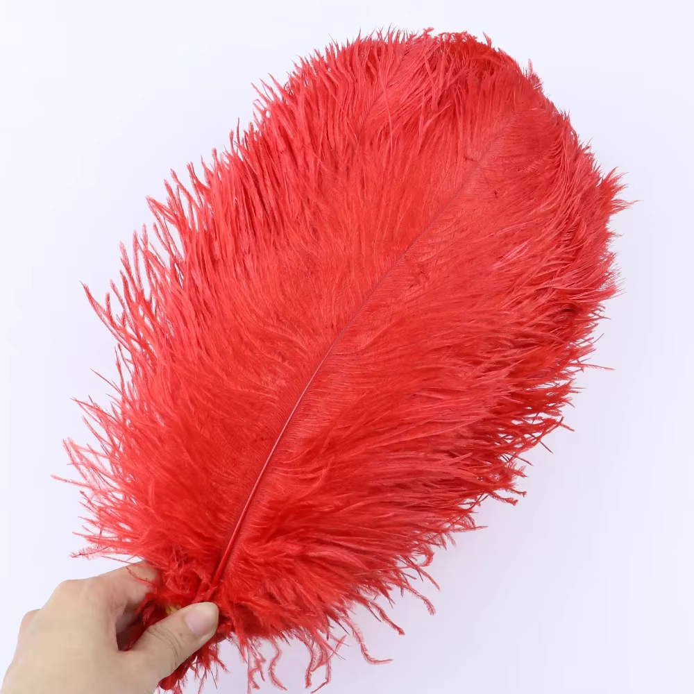 Plumes d'autruche naturelles, 10 pièces, 15-40cm, couleurs assorties, pour bricolage, artisanat, déc