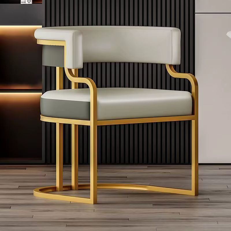Chaise d'appoint de luxe légère et moderne, chaise de salle à manger Premium pour Salon de réception