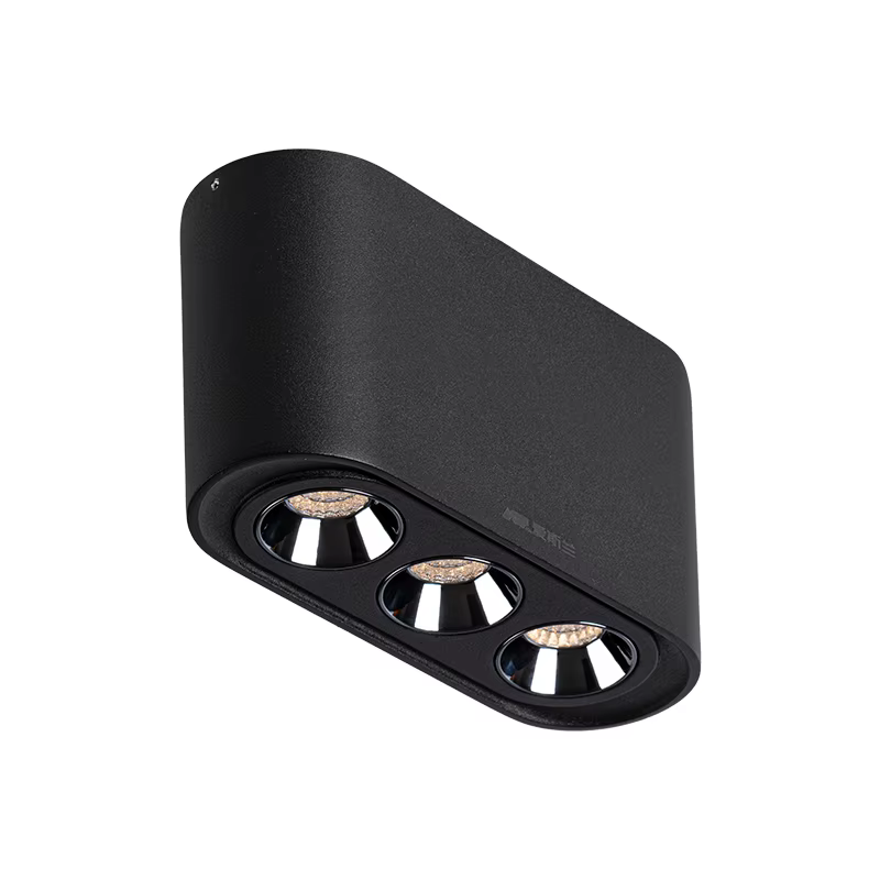 Aisilan LED projecteur de plafond luminaires montés en Surface salon 12W COB puce projecteur