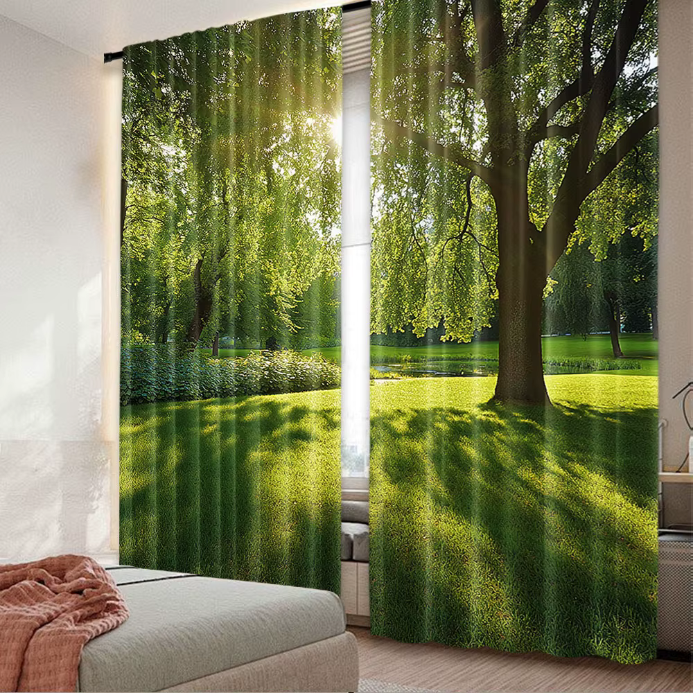 Rideau vert pour chambre à coucher, parc d'été en Allemagne, arbres, lumière du soleil, forêt, natur