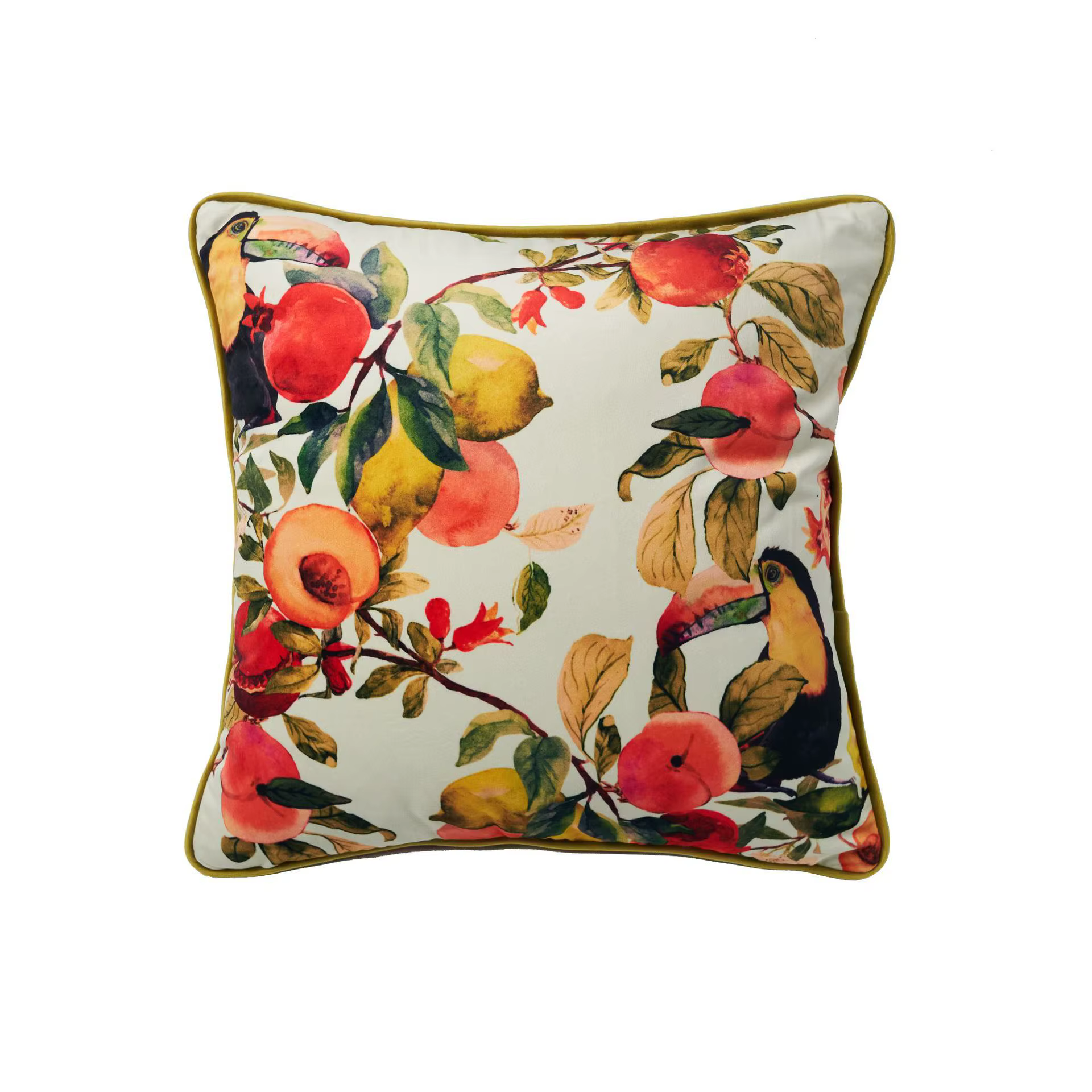 Housses de coussin en velours 18x1 8/20x20 pouces, taie d'oreiller douce imprimée botanique de fruit