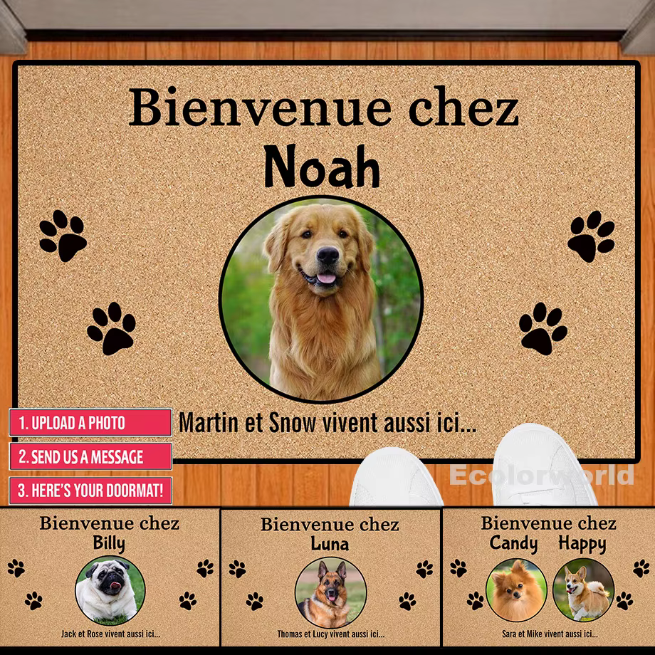 Polymères décoratifs personnalisés pour chien et chat, Doorvirus avec photo de l'animal de compagnie