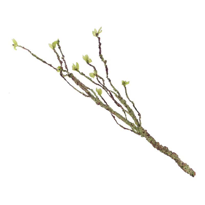 Décor de Vignes, Branches Grimpantes en Résine, Ornement Précieux de Poisson d'Aquarium, Terrarium A
