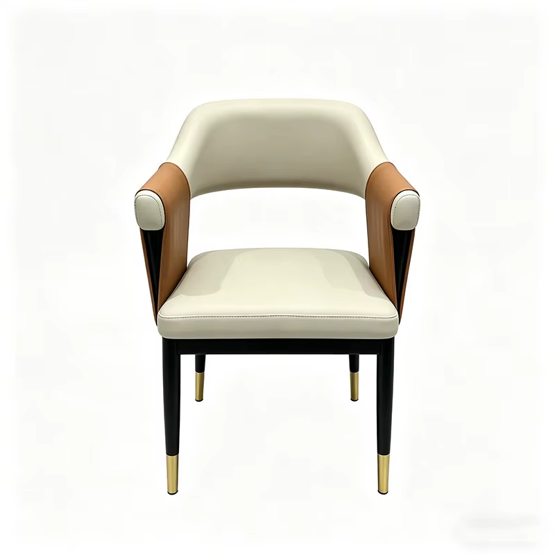 Chaise de salle à manger économique de luxe, chaise d'appoint nordique élégante pour adulte, chaise 