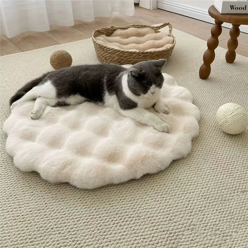 A69edog – coussin de caisse rond chaud