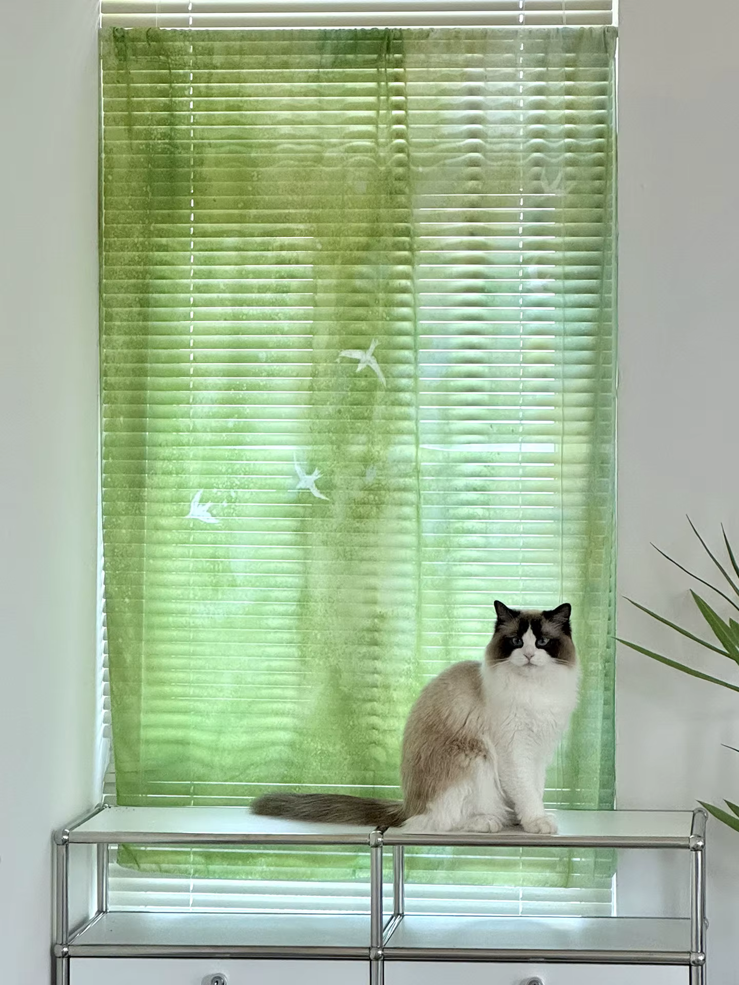 Rideau Flottant Translucide en Chiffon Vert Estival