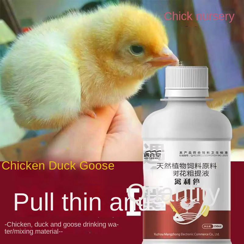 Le "Qinli Ting" est une nourriture pour les poussins