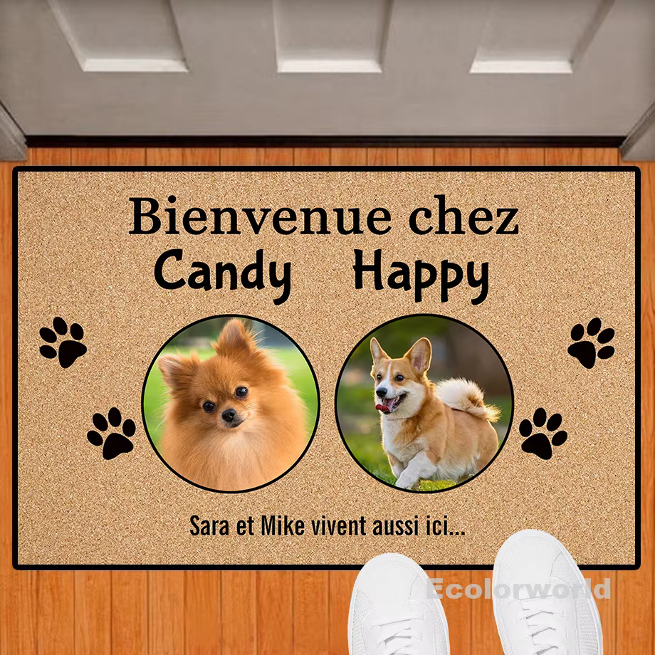Polymères décoratifs personnalisés pour chien et chat