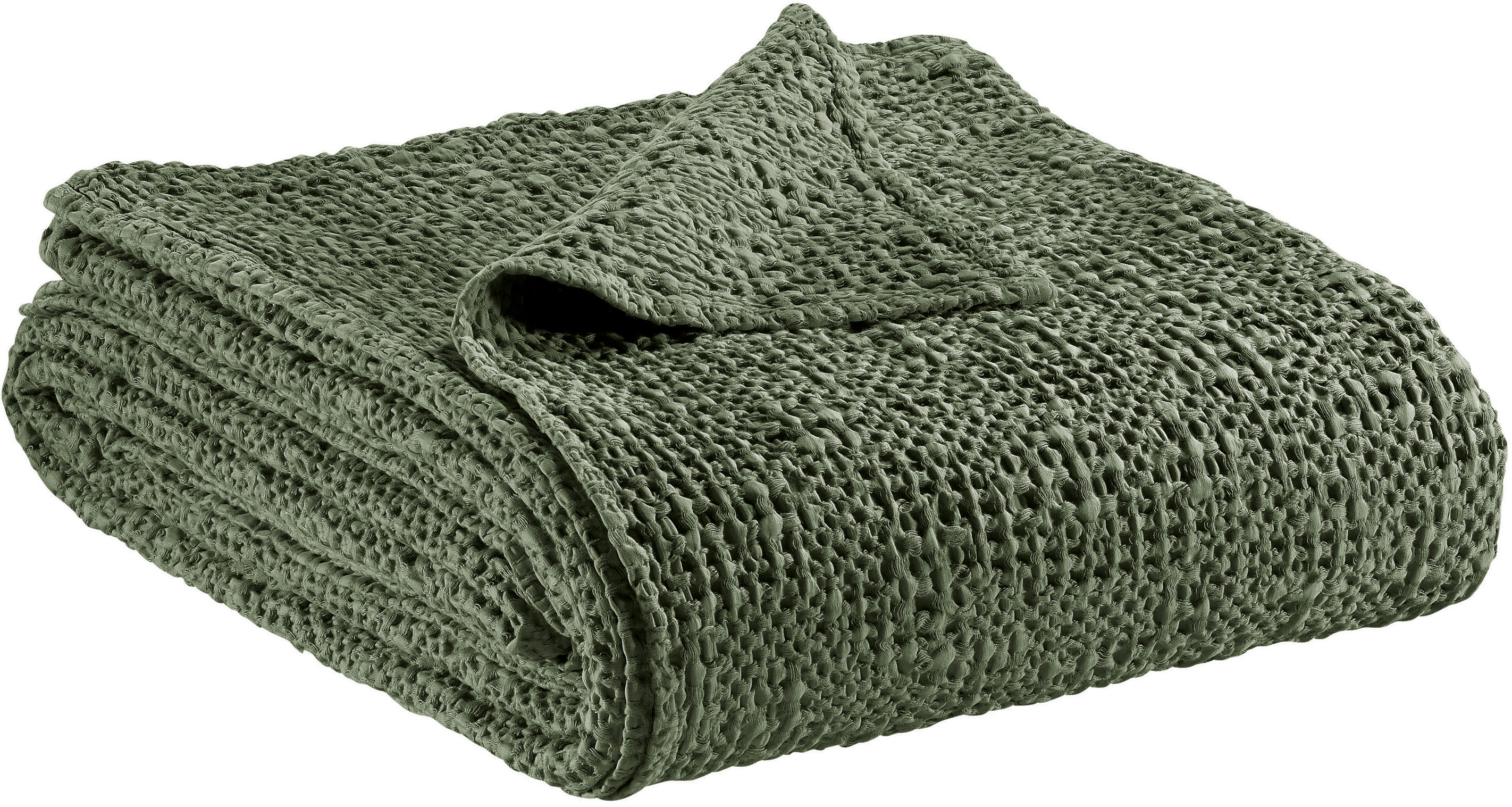 Jet Tana Olive 240 x 260