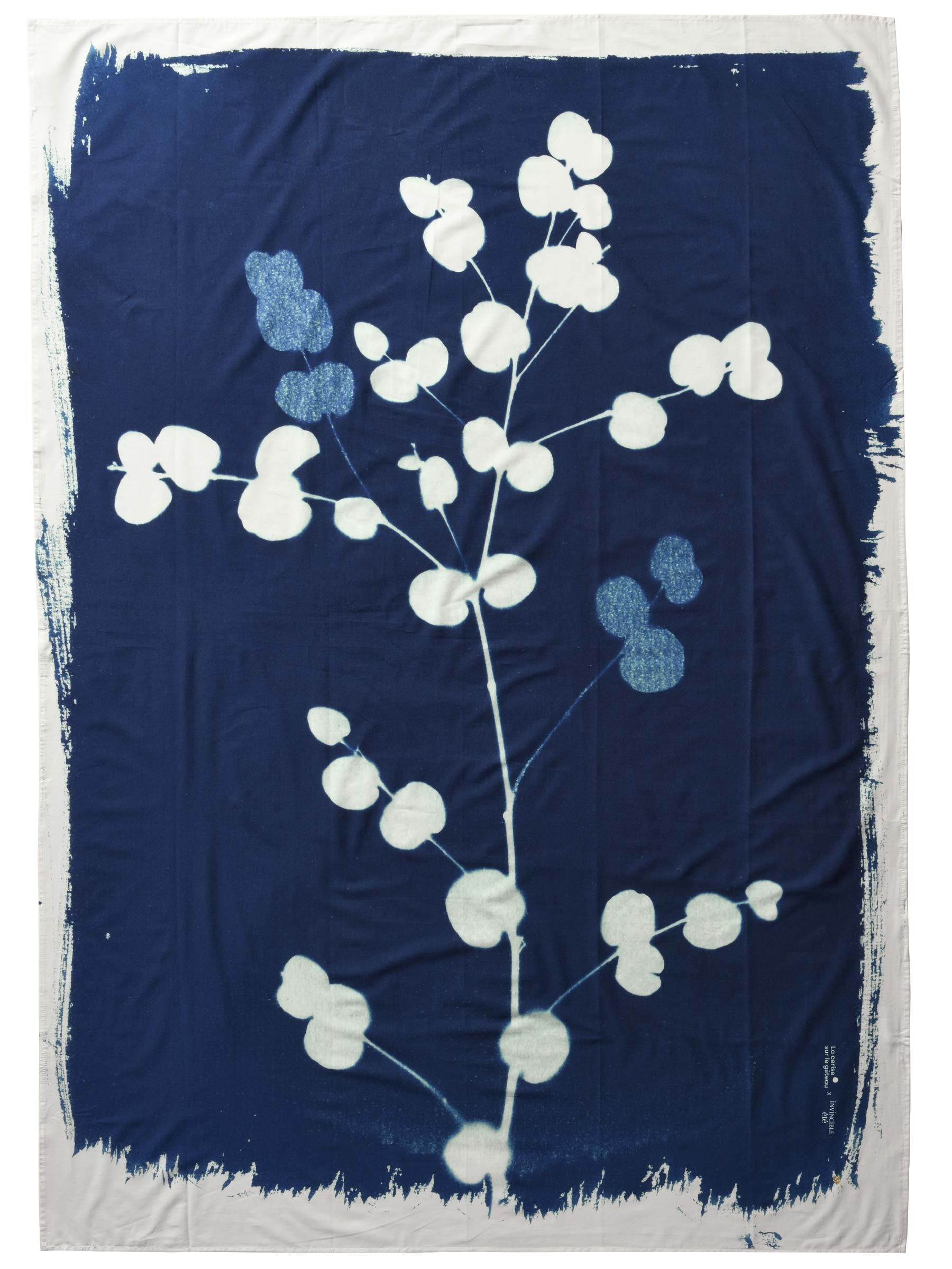 Paro Eucalyptus Bleu 180 x 130