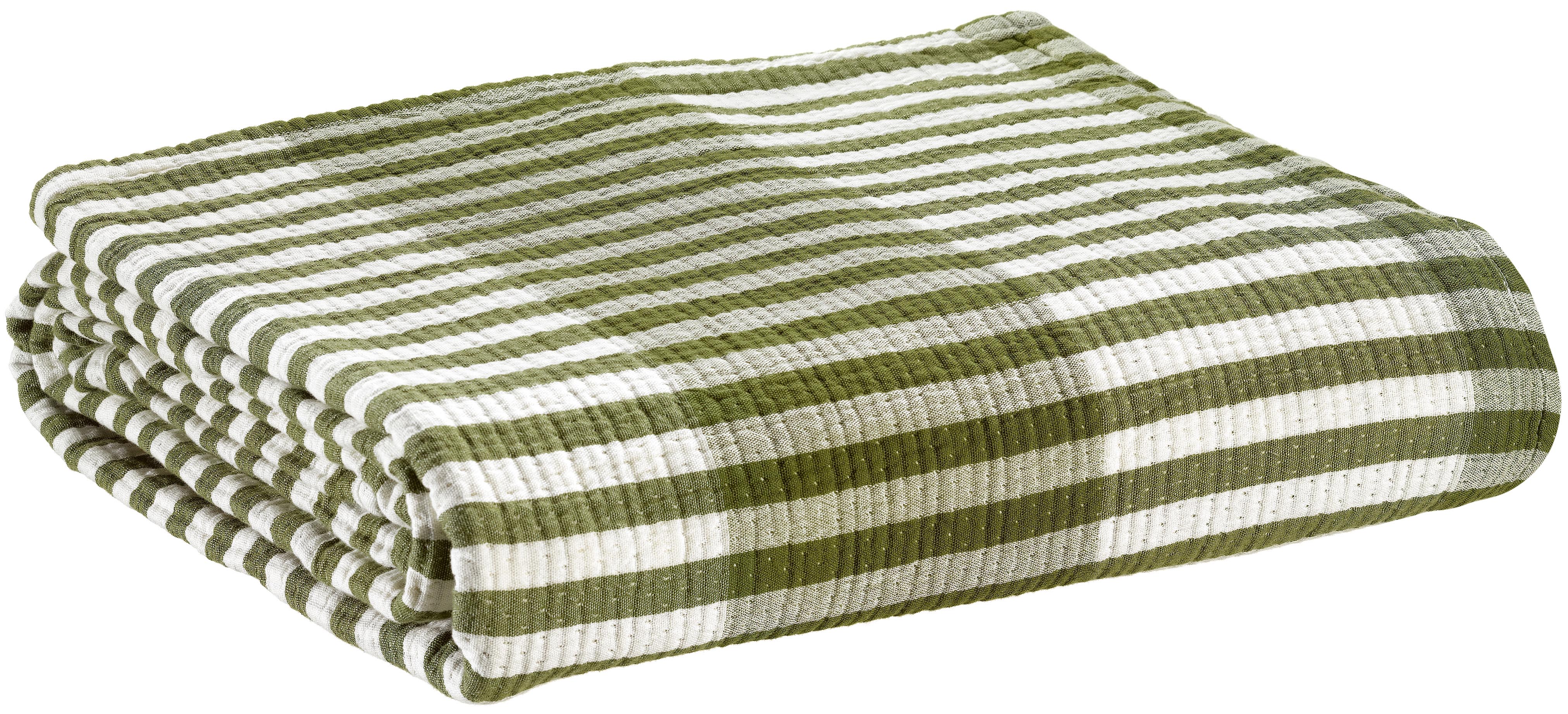 Jet Calista Olive 240 x 260